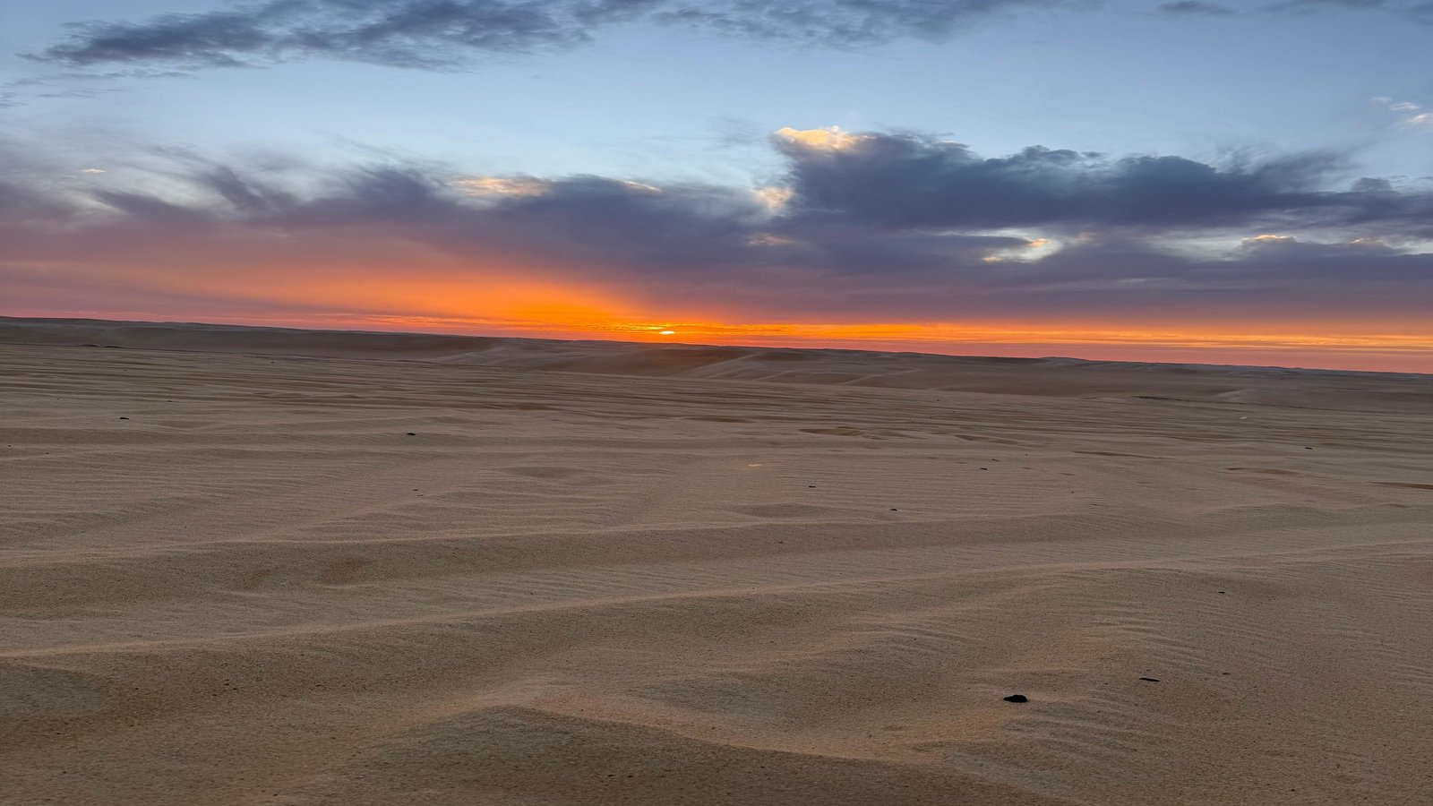 WhatsApp Image 2025-11-04 at 5.31.14 PM (3)