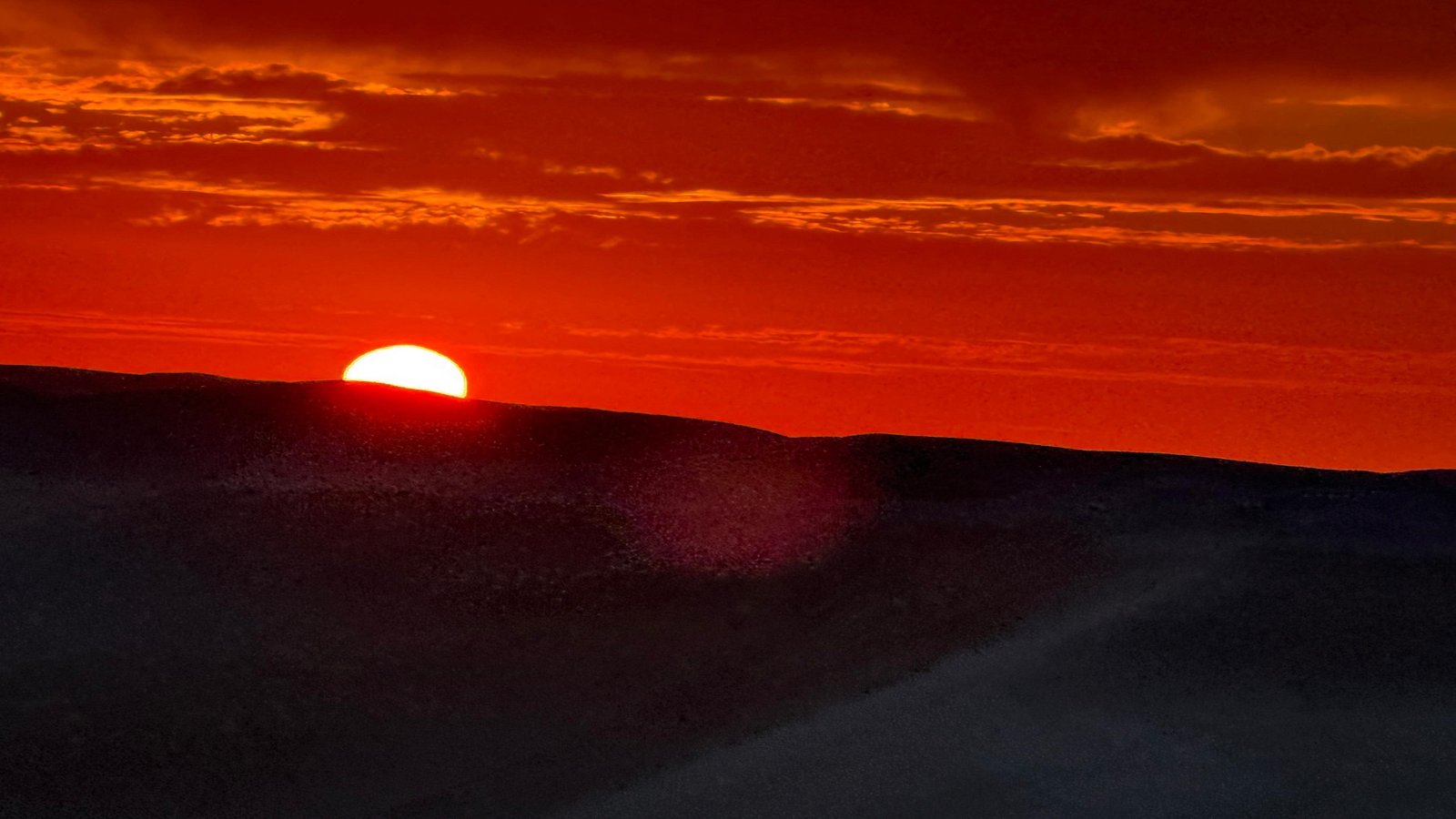 WhatsApp Image 2025-11-04 at 5.31.15 PM