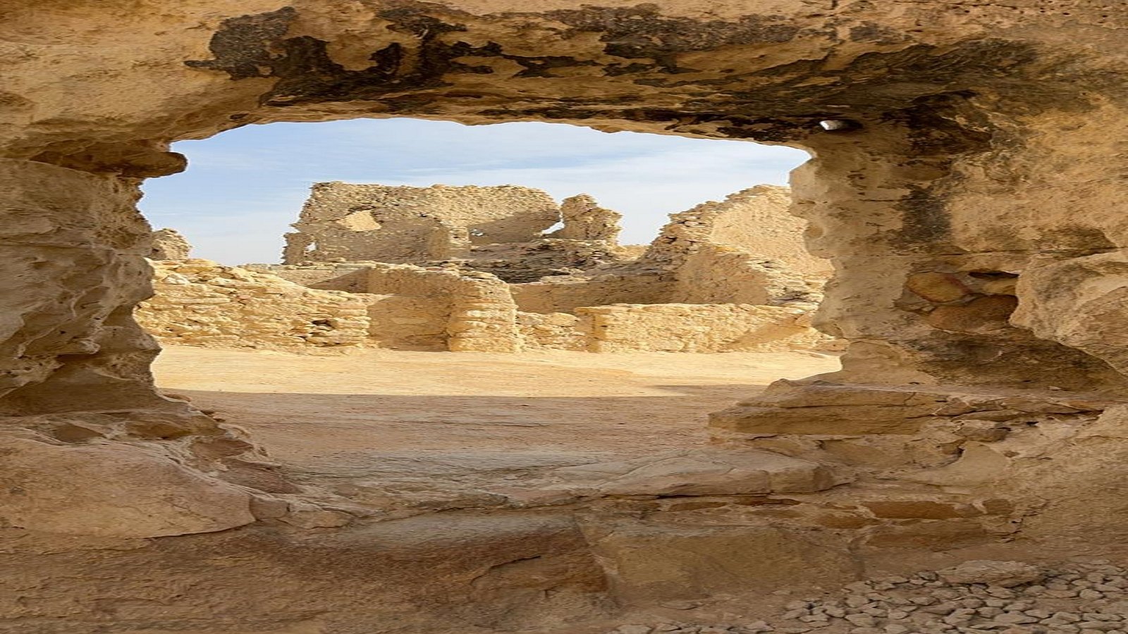 WhatsApp Image 2025-11-04 at 5.51.30 PM (1)