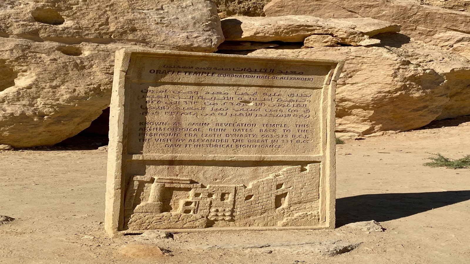 WhatsApp Image 2025-11-04 at 5.53.45 PM (1)