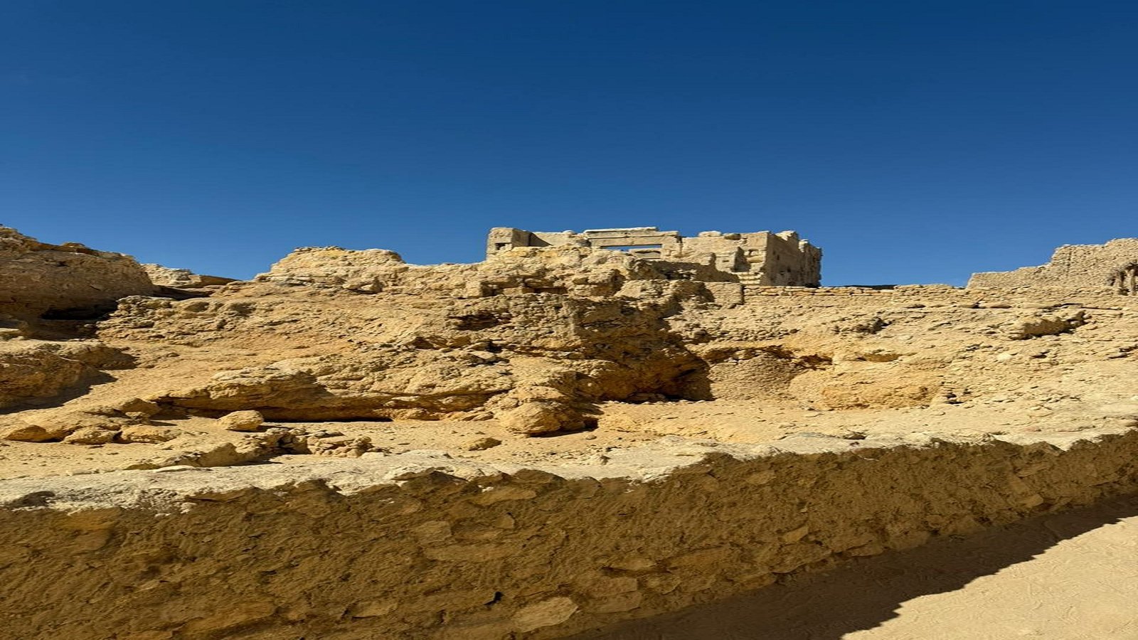 WhatsApp Image 2025-11-04 at 5.56.35 PM